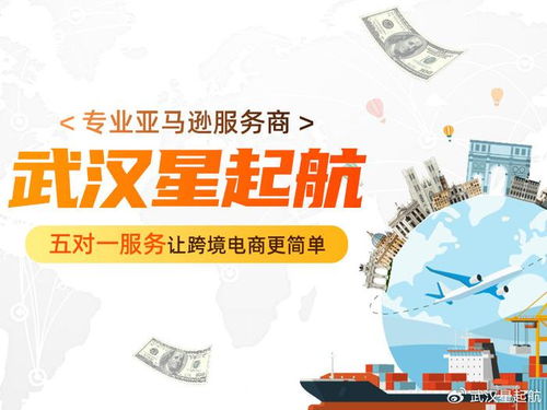 武漢星起航 把握時代脈搏，引領跨境電商新浪潮