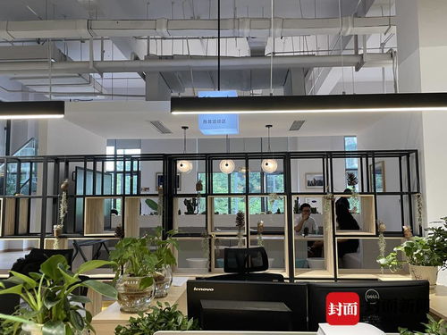 探訪成都金牛“雙中心” 這個極具設(shè)計(jì)感的服務(wù)空間，如何重塑咨詢與策劃體驗(yàn)？