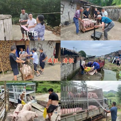 寧化多措并舉打好汛期水污染防治攻堅戰