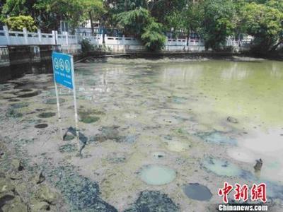 力度升級(jí)！生態(tài)環(huán)境部出“狠招”治理水污染