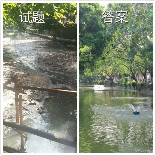叮！這是東莞水污染治理的答卷，請(qǐng)您閱卷